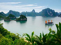 Halong Bay Cruises