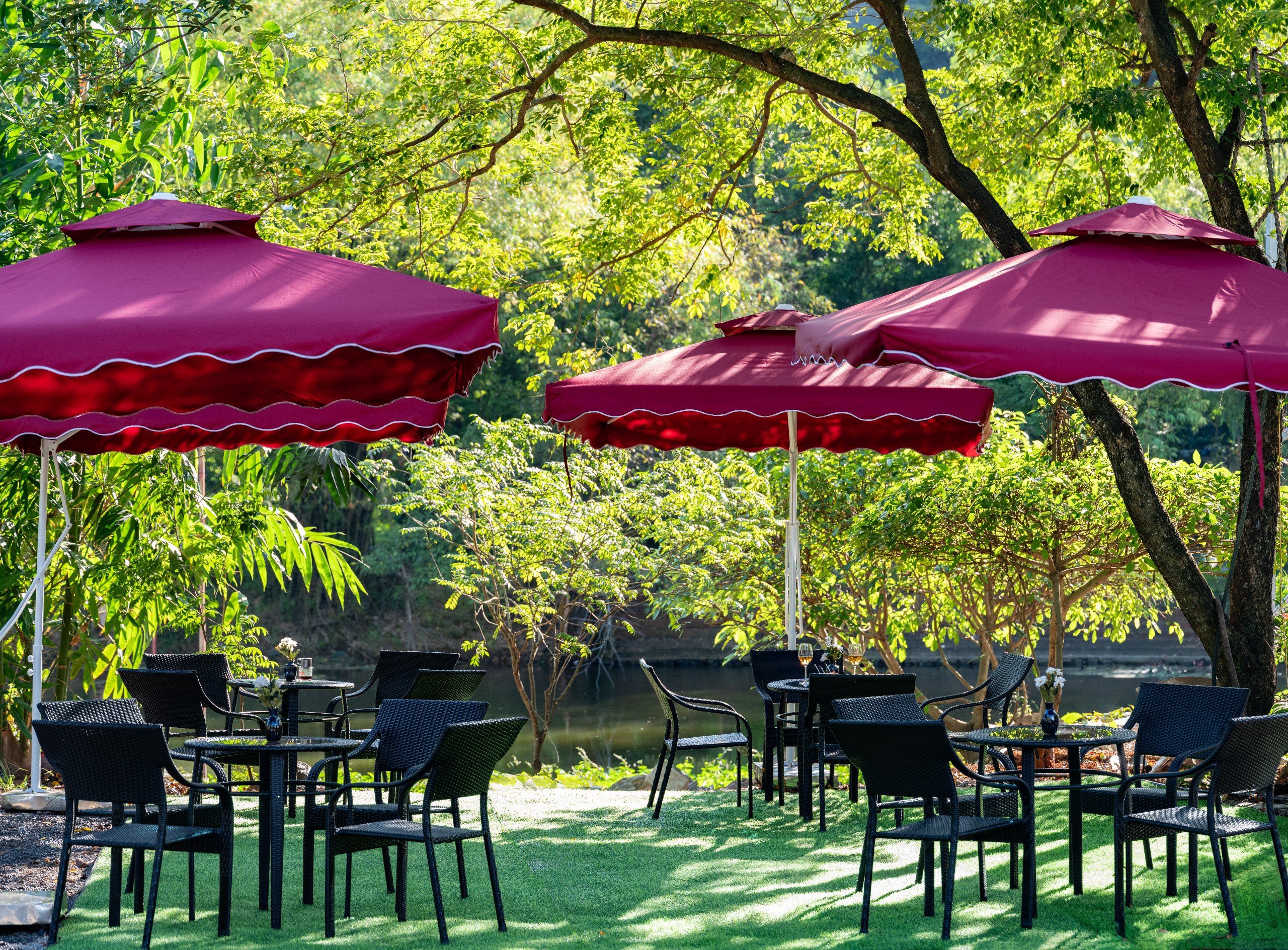 Ninh Binh - Hoa Lu - Trang An 1 Day trip 3