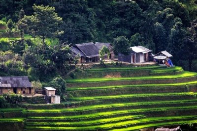 Sapa 2 Days 2 Nights by Overnight bus Stay 1 NIght in Home Stay