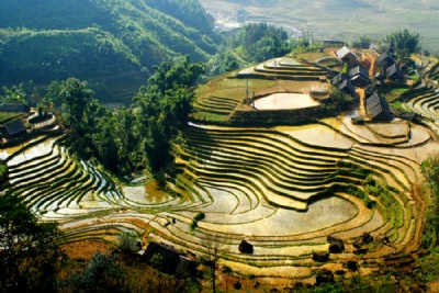 Sapa 3 Days 3 Nights by Overnight bus (1 night in Hotel in Sapa town, 1 night in homestay in Ta Van village)
